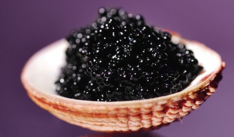 خاویار، عمده ترین کالا های صادراتی تعاونی های گیلان