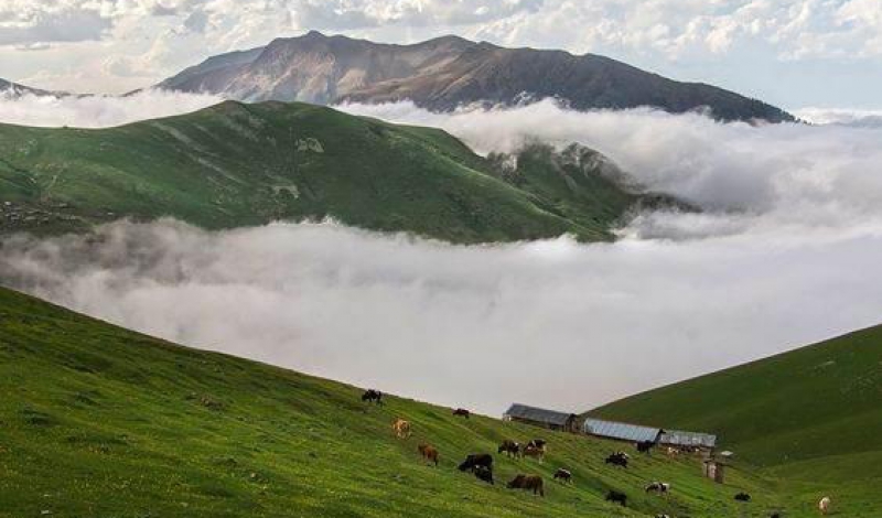 مراتع؛ مرکز ثقل فعالیت های آبخیزداری در گیلان