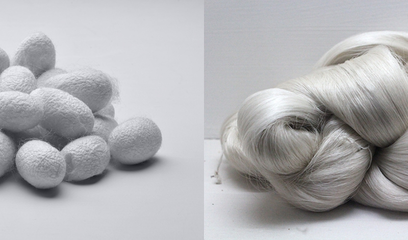 سرنوشتی که برای نخ ابریشم  سفید گیلان تابیده شد