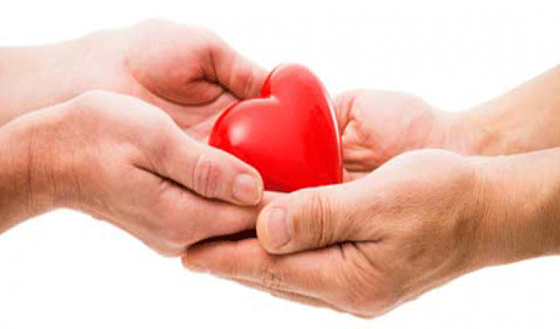 اهدای عضو ۲۰ بیمار مرگ مغزی در گیلان