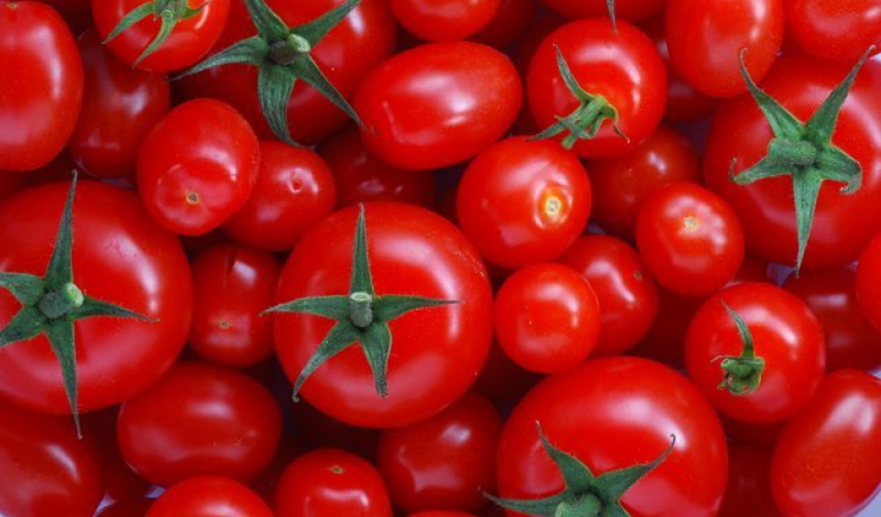 دلیل افزایش دو برابری قیمت گوجه فرنگی