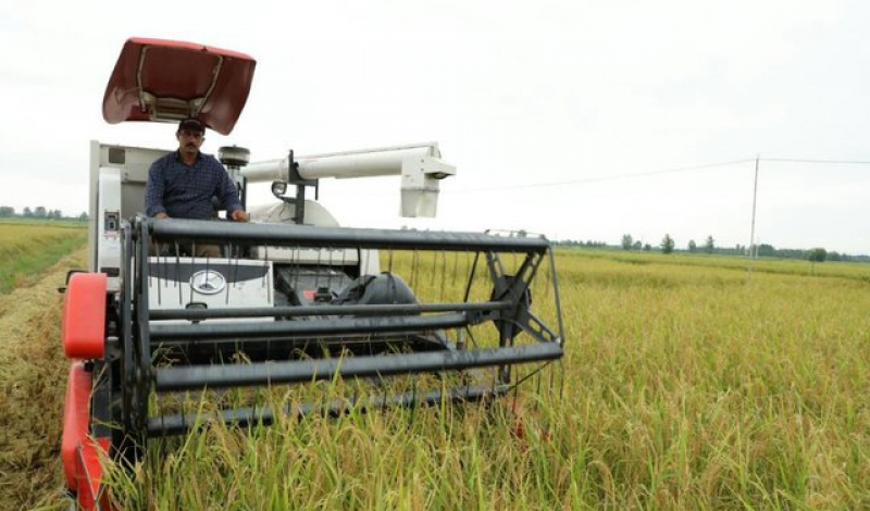 پیش بینی افزایش درجه مکانیزاسیون تولید برنج در گیلان