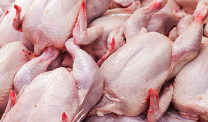 گوشت مرغ به اندازه کافی در بازار موجود است