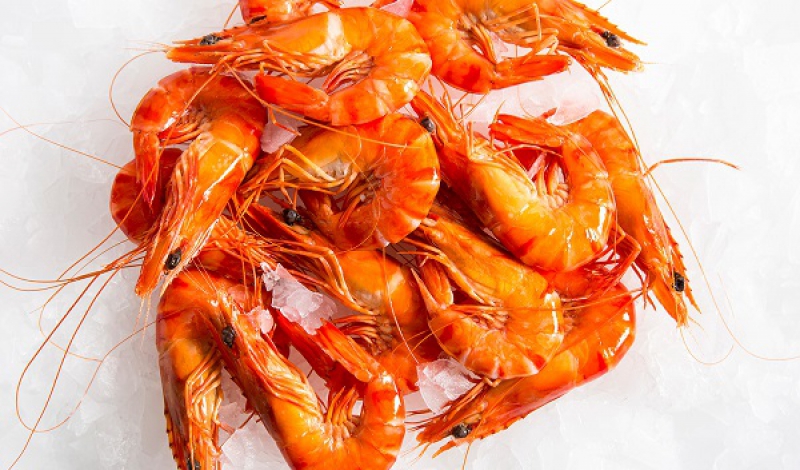 صادرات هفت هزار و 500 کیلوگرم شاه میگو از گیلان به 6کشور