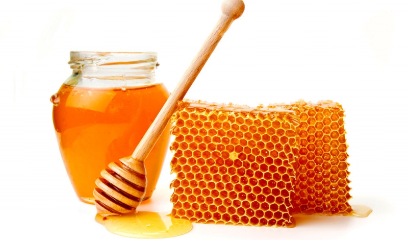 پیش بینی افزایش تولید عسل در گیلان