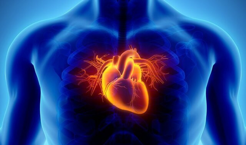 برای سلامت قلب مان چه کنیم؟