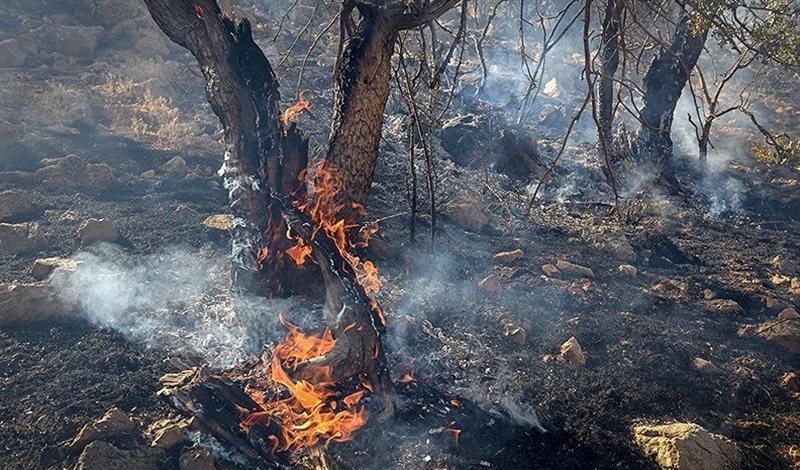 مهار آتش سوزی جنگل در آستارا