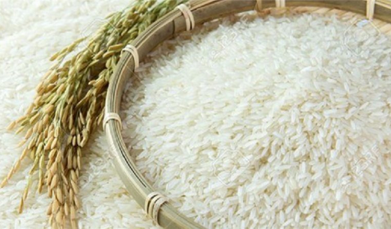 در فصل برداشت، به برنج خارجی نیاز نداریم | برنج داخلی ارزان می شود