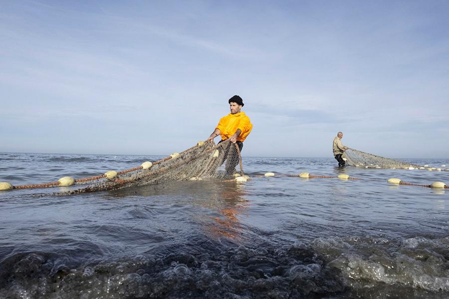 صید ۹۴۷ میلیاردی ماهیگیران گیلانی از دریای خزر