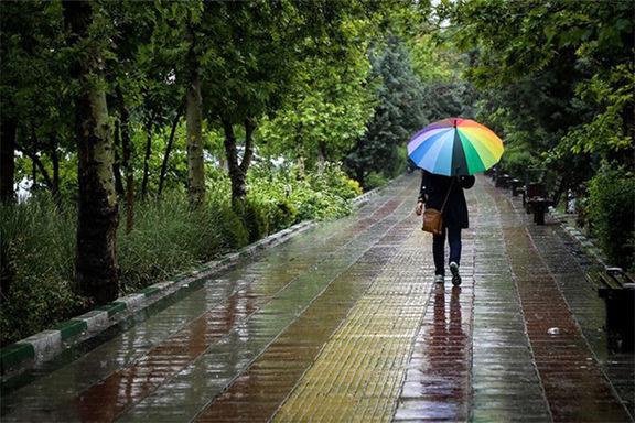 ناپایداری با بارش پراکنده باران و وزش باد