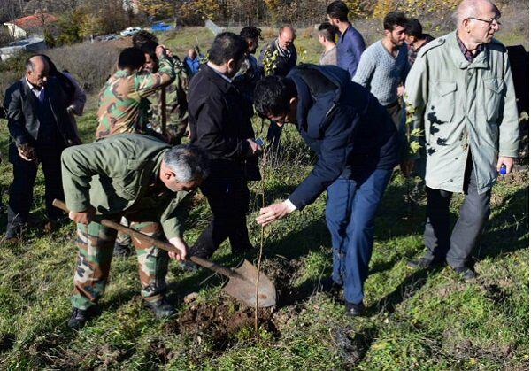 طرح پویش سبز جنگل های هیرکانی در منطقه حیران عملیاتی شد