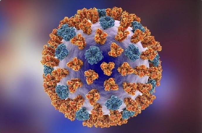 5 استان در صدر شیوع آنفولانزا