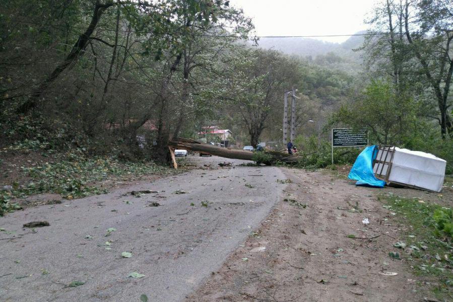 باد شدید به ۳۰۰ واحدتولیدی و مسکونی در شهرستان املش خسارت زد