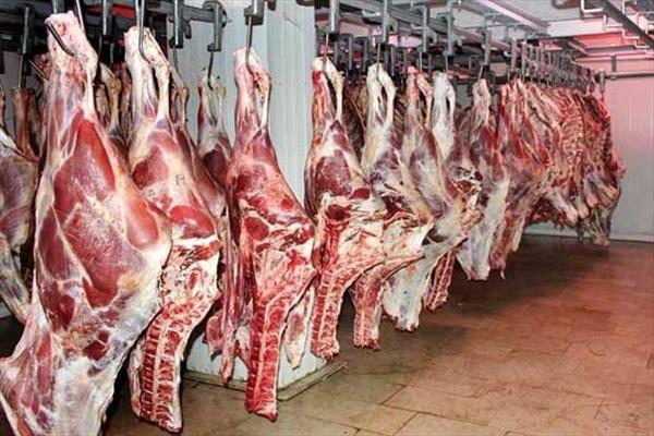 به منظور تنظیم بازار گوشت گوساله و شکر در استان گیلان توزیع می شود