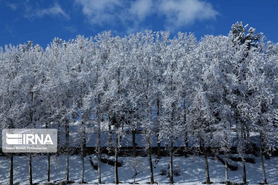 تمرکز بارش برف در نواحی مرکزی و شرقی گیلان است