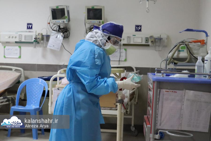 پرستاران، مرغ عروسی و عزا