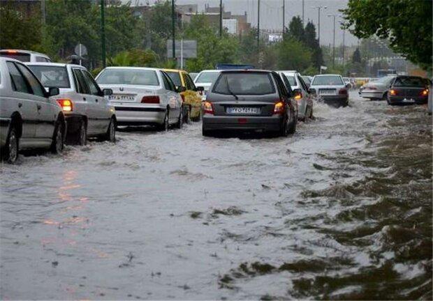 سیل، بوشهر را درنوردید