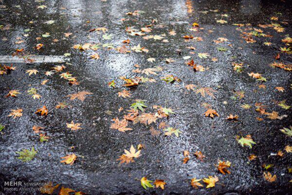 پایان هفته بارانی در گیلان / دمای هوا کاهش می یابد