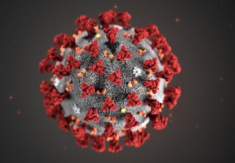 مسافرت ها موجب افزایش مبتلایان به ویروس کرونا شد