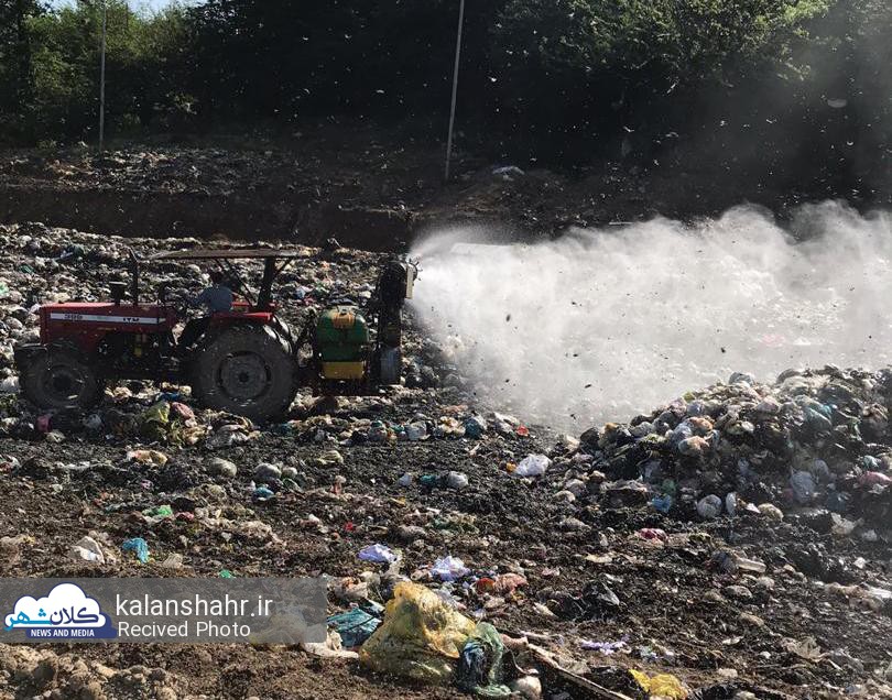 سمپاشی دفنگاه زباله سراوان به طور مستمر انجام می شود