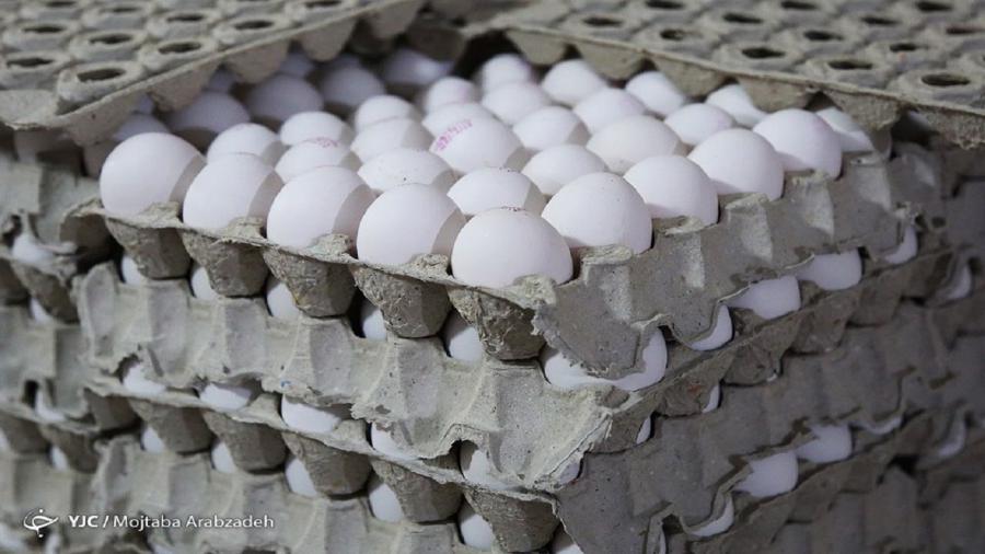 هر شانه تخم مرغ در مرز ۵۰ هزار تومان
