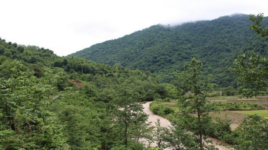 تداوم پایداری هوا در گیلان