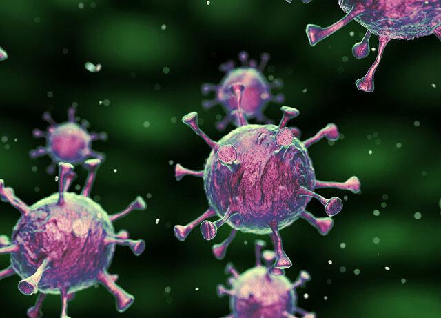 شناسایی ۴ جهش کروناویروس خاص ایران