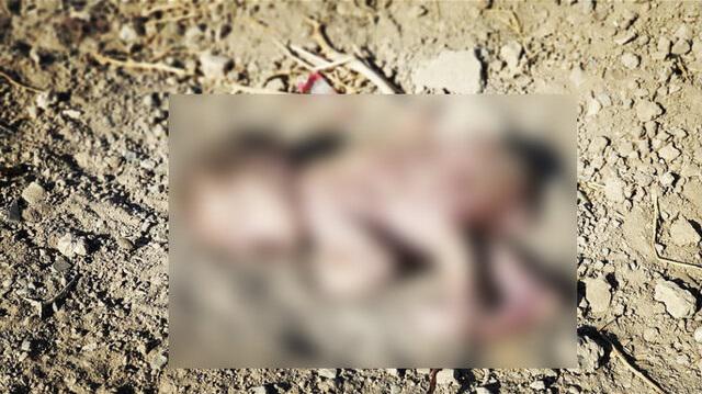 جسد یک نوزاد در بیابان های اطراف اصفهان پیدا شد / این نوزاد فرزند یکی از زنان کارتن خواب بود