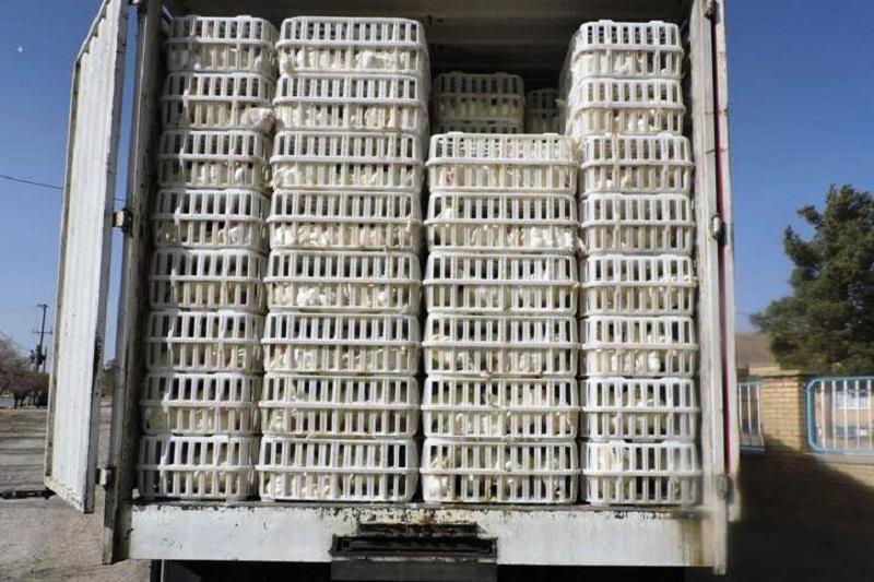 توقیف ۶ دستگاه کامیون حامل بیش از ۷۰۰۰ قطعه مرغ فاقد مجوز در رودبار