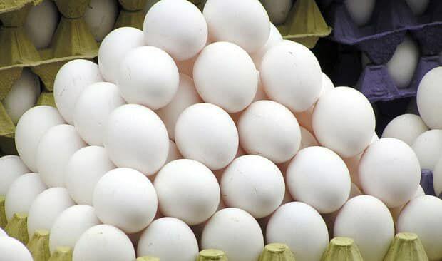 قیمت تخم مرغ تا اعلام نرخ رسمی از سوی دولت افزایش نخواهد داشت