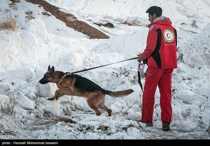 کشته شدن ۶ نفر و افزایش تعداد مفقودی ها به ۱۸ تن 