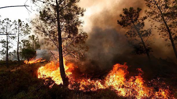آتش گرفتن جنگل های جمهوری آذربایجان در مرز آستارا / آتش هنوز به سمت جنگل های ایران نرسیده است