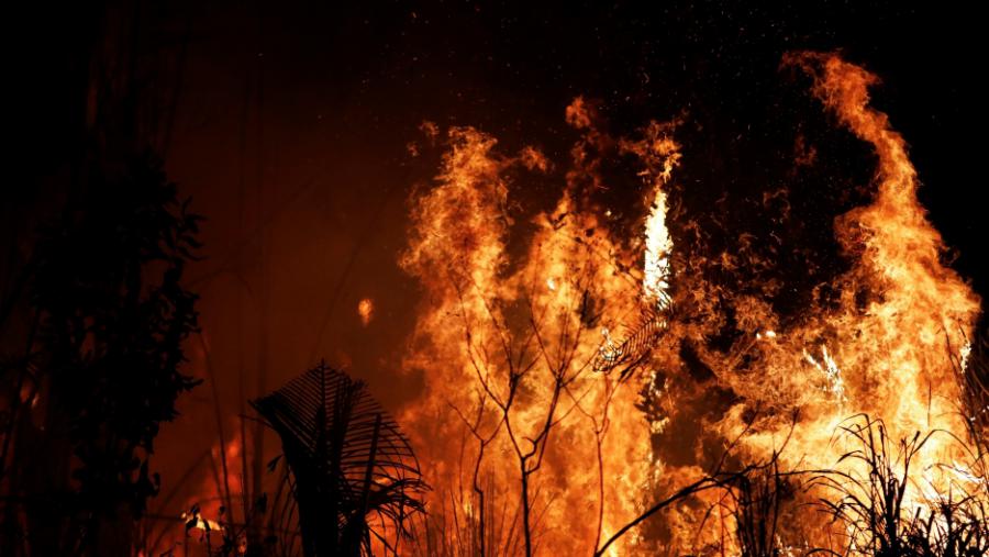 ثبت ۱۱ فقره آتش سوزی در جنگل های شمال طی ۱۰ روز اخیر