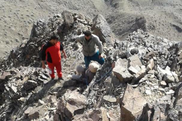 نجات دامدار ۷۰ ساله ازصخره های صعب العبور ارتفاعات شهرستان رودبار