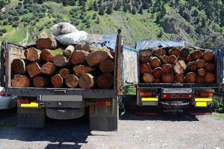 کشف محموله ۱۷ تنی چوب قاچاق از دو کامیون در سیاهکل