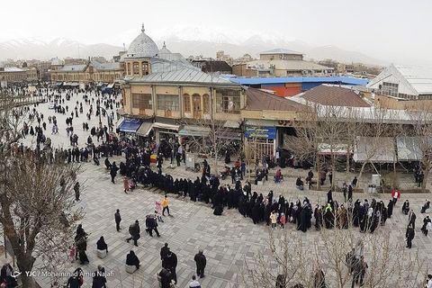 صف بلند مرغ دولتی در همدان