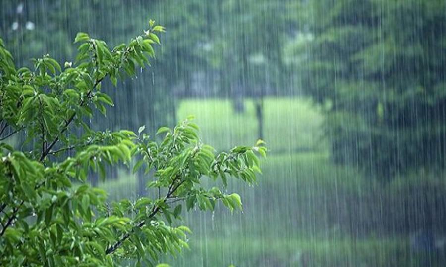 بارش باران و وزش باد شدید در کشور/ در سفرهای برون شهری احتیاط کنید
