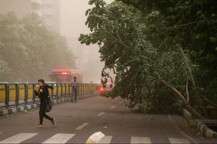 هشدار نسبت به وزش باد ۸۰ تا ۱۱۰ کیلومتر بر ساعت در برخی استان ها