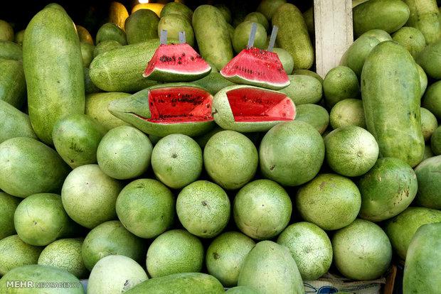 ثبت قیمت های عجیب برای هندوانه؛ هر کیلوگرم ۱۰۰۰۰ تومان