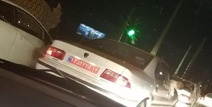 برکناری یک مدیر دولتی به دلیل سگ گردانی با خودروی پلاک قرمز