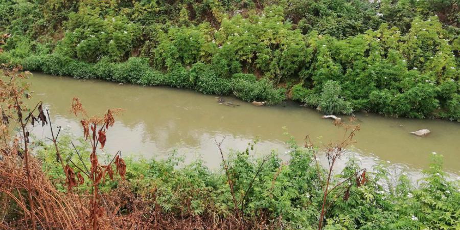 کشف جسد یک زن در رودخانه زرجوب