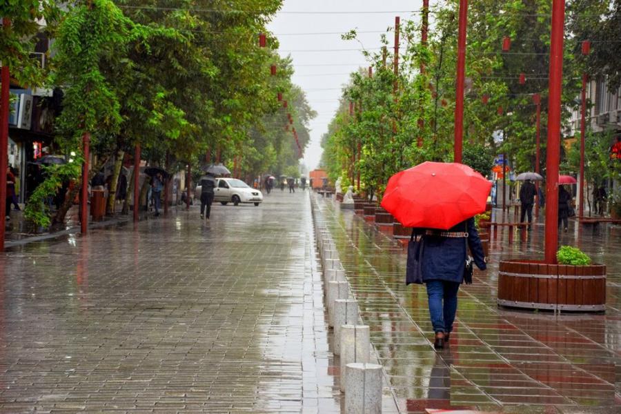 کاهش محسوس دما و بارش باران در گیلان
