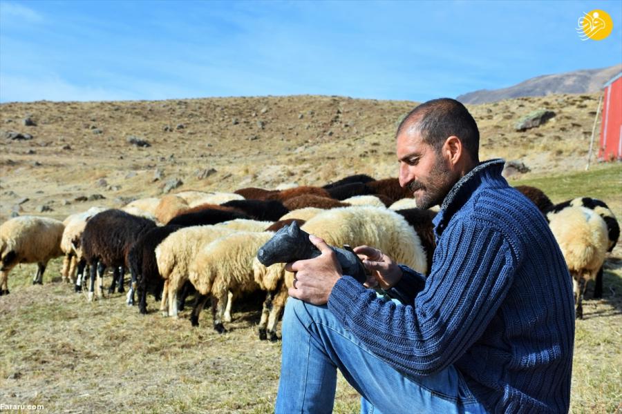 جزییات استخدام چوپانان ایرانی در ارمنستان