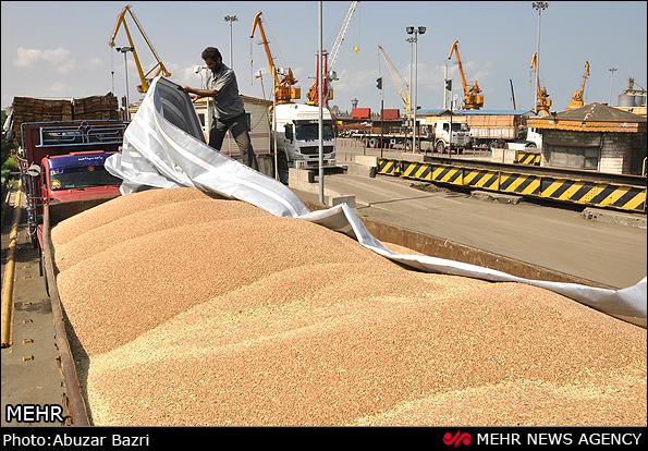 نهاده های دامی در بندر انزلی به الکل صنعتی تبدیل می شود