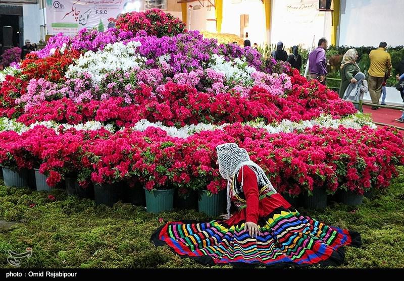 گیلان قطب گل و گیاه در کشور است / چابکسر پایتخت گل و گیاه ایران