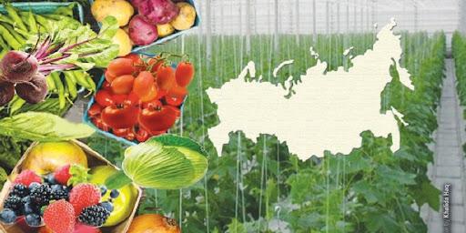 روسیه واردات محصولات کشاورزی از ایران را ممنوع کرد / رسانه اصولگرا: کار لابی اسرائیل است