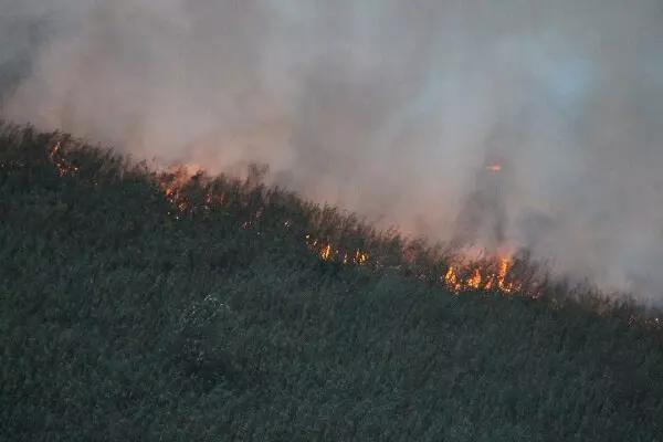 آتش سوزی در  للندیز ماسوله