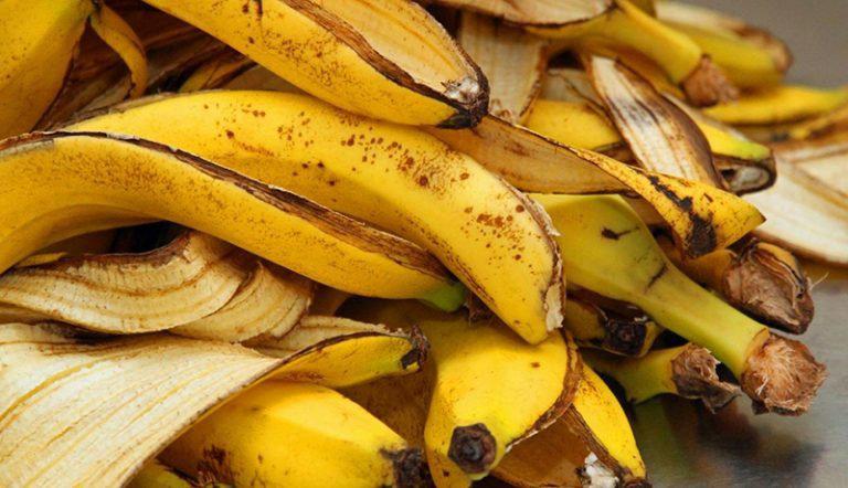  انفجار موز و تولید انرژی