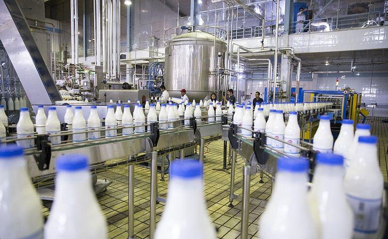 مصرف شیر و لبنیات در گیلان کمتر از میانگین جهانی است