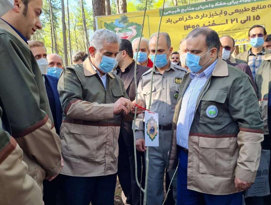 دعوت استاندار گیلان از مردم برای کاشت درخت و مشارکت در توسعه فضای سبز